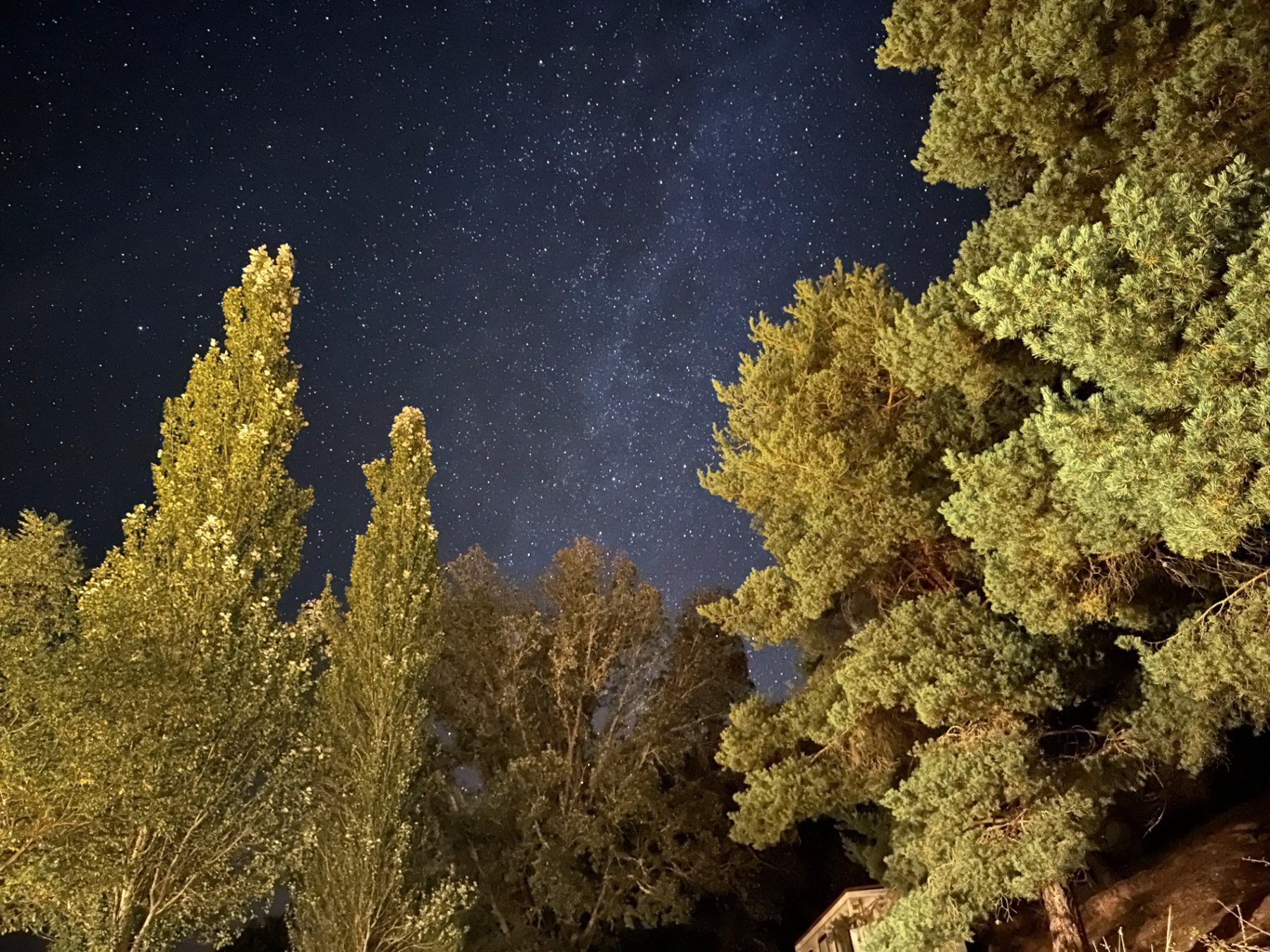 Pinares de Muriel Viejo bajo la Vía Láctea